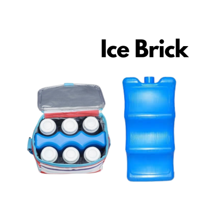 Ice brick ice pack cooler bag Lunch